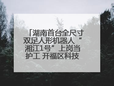 湖南首台全尺寸双足人形机器人“湘江1号”上岗当护工 开福区科技活动周十大科创项目签约