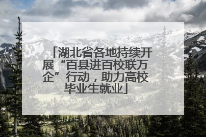 湖北省各地持续开展“百县进百校联万企”行动，助力高校毕业生就业