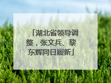 湖北省领导调整，张文兵、黎东辉同日履新