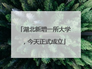 湖北新增一所大学，今天正式成立