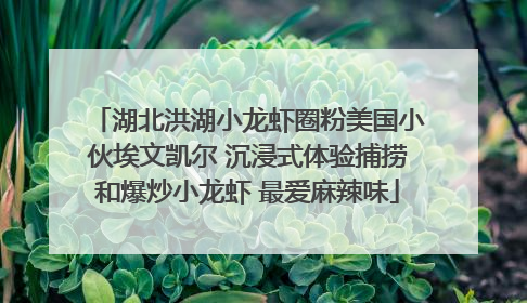 湖北洪湖小龙虾圈粉美国小伙埃文凯尔 沉浸式体验捕捞和爆炒小龙虾 最爱麻辣味