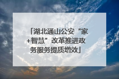 湖北通山公安“家+智慧”改革推进政务服务提质增效