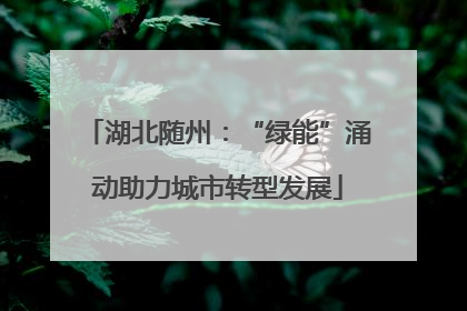 湖北随州：“绿能”涌动助力城市转型发展