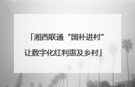 湘西联通“国补进村”让数字化红利惠及乡村