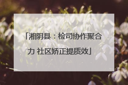 湘阴县：检司协作聚合力 社区矫正提质效