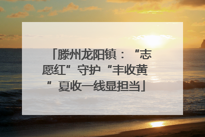 滕州龙阳镇：“志愿红”守护“丰收黄”夏收一线显担当