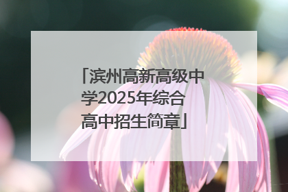 滨州高新高级中学2025年综合高中招生简章
