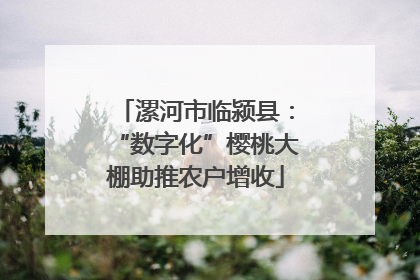 漯河市临颍县：“数字化”樱桃大棚助推农户增收