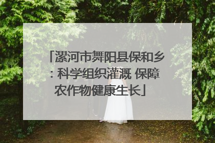 漯河市舞阳县保和乡：科学组织灌溉 保障农作物健康生长