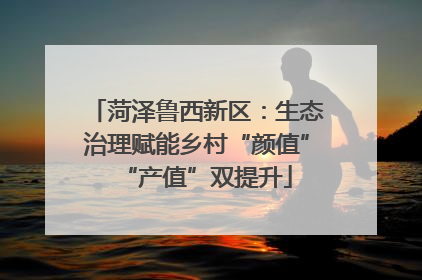 菏泽鲁西新区：生态治理赋能乡村“颜值”“产值”双提升