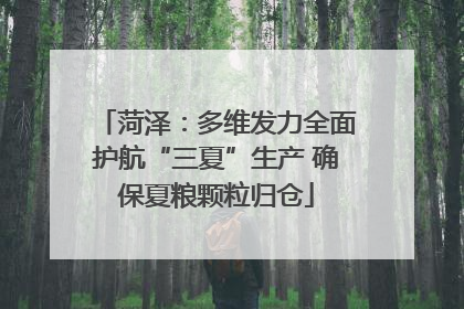 菏泽：多维发力全面护航“三夏”生产 确保夏粮颗粒归仓