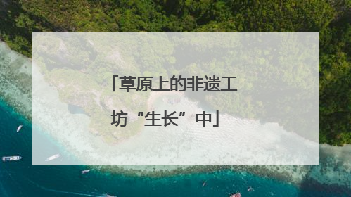 草原上的非遗工坊“生长”中