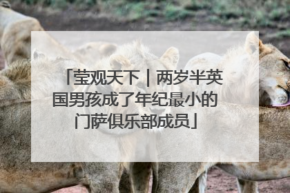 莹观天下｜两岁半英国男孩成了年纪最小的门萨俱乐部成员
