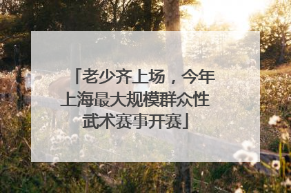 老少齐上场，今年上海最大规模群众性武术赛事开赛