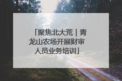 聚焦北大荒｜青龙山农场开展财审人员业务培训