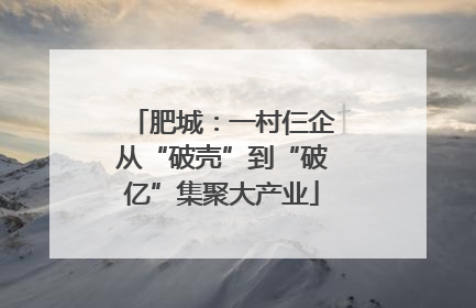 肥城：一村仨企从“破壳”到“破亿”集聚大产业