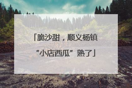 脆沙甜，顺义杨镇“小店西瓜”熟了