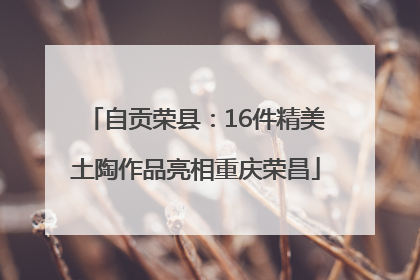 自贡荣县：16件精美土陶作品亮相重庆荣昌