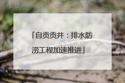 自贡贡井：排水防涝工程加速推进