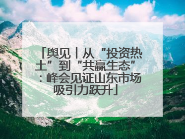 舆见丨从“投资热土”到“共赢生态”：峰会见证山东市场吸引力跃升