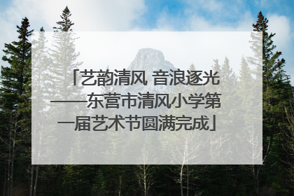艺韵清风 音浪逐光——东营市清风小学第一届艺术节圆满完成