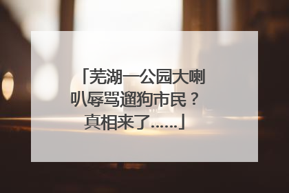 芜湖一公园大喇叭辱骂遛狗市民？真相来了……