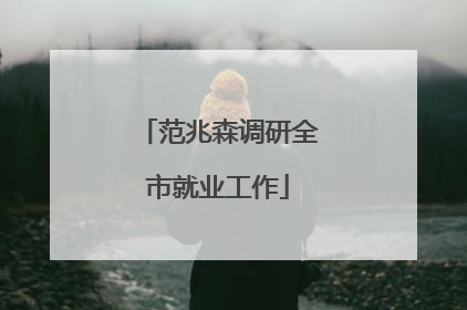 范兆森调研全市就业工作