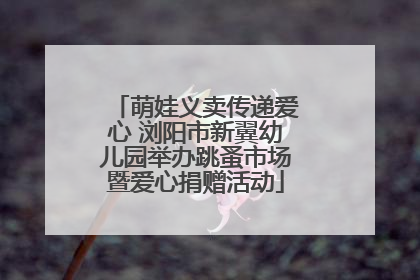 萌娃义卖传递爱心 浏阳市新翼幼儿园举办跳蚤市场暨爱心捐赠活动