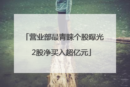 营业部最青睐个股曝光 2股净买入超亿元