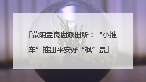 蒙阴孟良崮派出所：“小推车”推出平安好“枫”景
