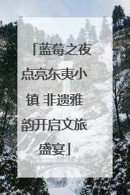 蓝莓之夜点亮东夷小镇 非遗雅韵开启文旅盛宴