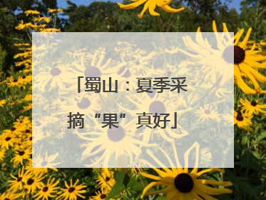 蜀山：夏季采摘“果”真好
