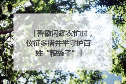警徽闪耀农忙时，仪征多措并举守护百姓“粮袋子”
