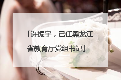 许振宇，已任黑龙江省教育厅党组书记