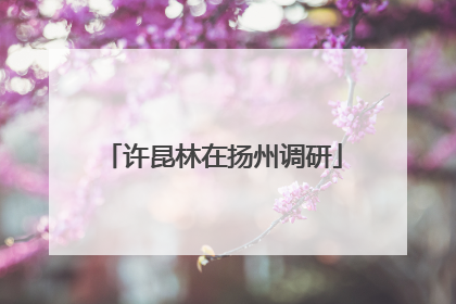 许昆林在扬州调研