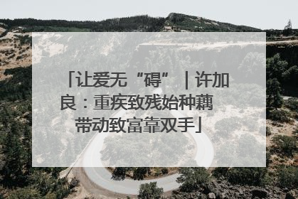 让爱无“碍”｜许加良：重疾致残始种藕 带动致富靠双手