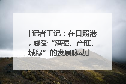 记者手记：在日照港，感受“港强、产旺、城绿”的发展脉动