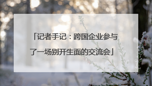 记者手记：跨国企业参与了一场别开生面的交流会
