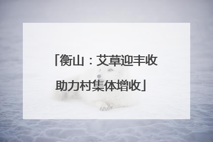 衡山：艾草迎丰收 助力村集体增收