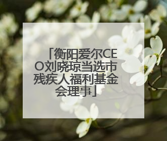 衡阳爱尔CEO刘晓琼当选市残疾人福利基金会理事