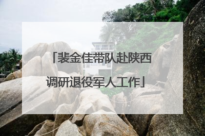 裴金佳带队赴陕西调研退役军人工作