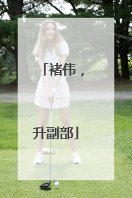 褚伟，升副部