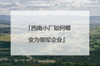 西南小厂如何蝶变为领军企业