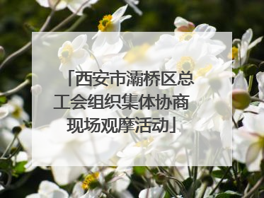 西安市灞桥区总工会组织集体协商现场观摩活动