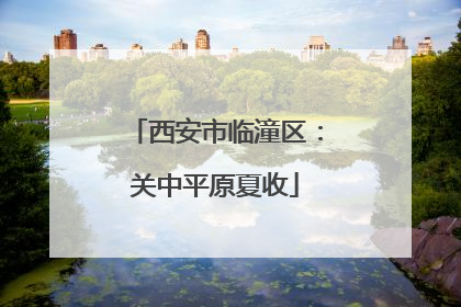 西安市临潼区：关中平原夏收
