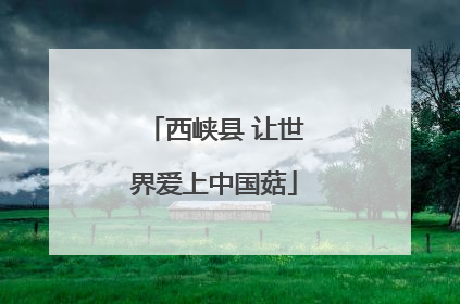 西峡县 让世界爱上中国菇