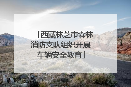 西藏林芝市森林消防支队组织开展车辆安全教育