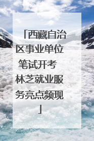 西藏自治区事业单位笔试开考 林芝就业服务亮点频现