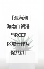 观海潮｜海南自贸港与RCEP区域合作互促共进
