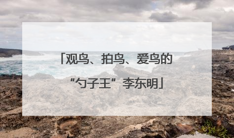 观鸟、拍鸟、爱鸟的“勺子王”李东明
